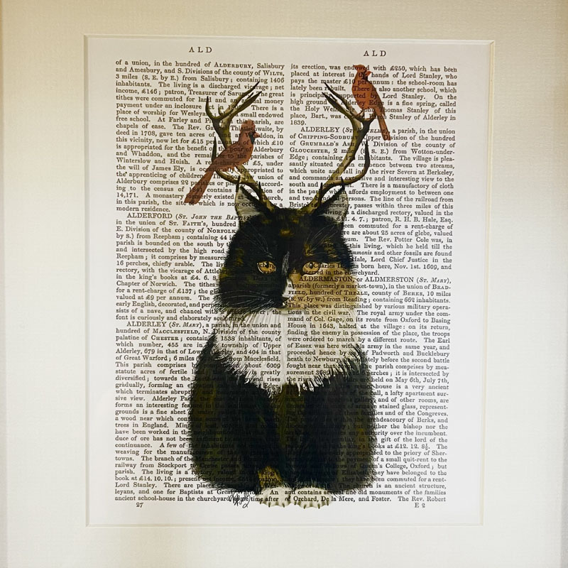 Cat With Antlers / Framed Prints